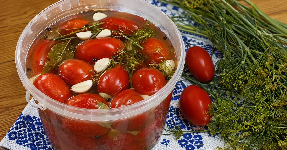 Fermented tomatoes with mustard (no vinegar)